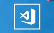 VSCode怎么关联已经安装的Node环境 - 路径设置与检测指南