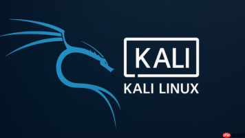 Kali Linux安装入口 Kali Linux系统安装步骤 - php中文网
