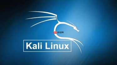 Kali Linux终端美化怎么做？Zsh与Oh My Zsh安装配置
