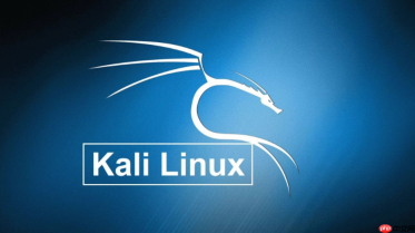 kali linux终端美化怎么做?zsh与oh my zsh安装配置