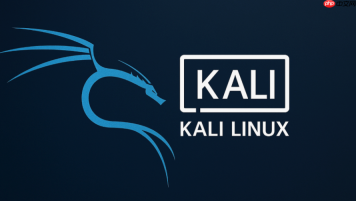 kali linux怎么连接网络？有线网卡与无线网卡驱动安装