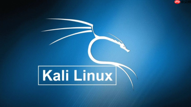 Kali Linux怎么切换Python版本？Python2与Python3默认设置