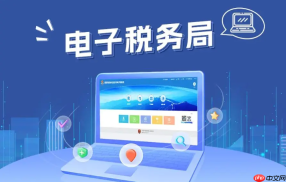 山东电子税务局网页版入口 山东电子税务局网页版首页