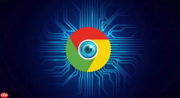 google服务入口官方集合