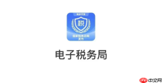 重庆电子税务局怎么申报个税？个人所得税申报操作指南