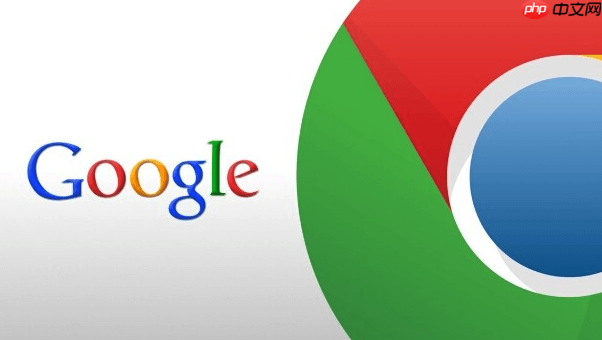 Google官方主页访问入口 - php中文网