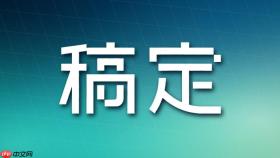 稿定设计AI在线使用网址 稿定设计AI网页版在线登录