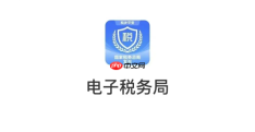 四川省电子税务局怎么查询企业账户信息？税库银三方协议签署教程