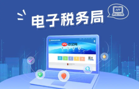 四川省电子税务局怎么查询往期申报记录？历史申报信息查看步骤