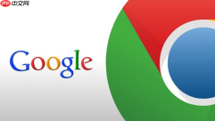 Google官方网站访问地址与在线入口