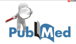 pubmed文献检索表达式怎么写