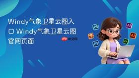 Windy气象卫星云图入口 Windy气象卫星云图官网页面