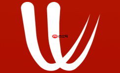Windy怎么切换中文？语言设置操作说明