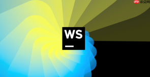 webstorm使用自定义过滤器筛选git分支历史记录方法