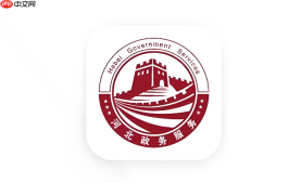 河北政务服务网怎么打印个人完税证明？纳税记录下载打印方法