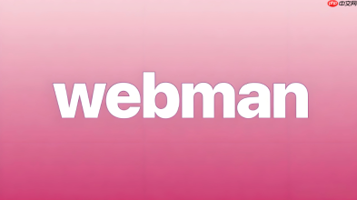webman集成socket.io兼容前端生态