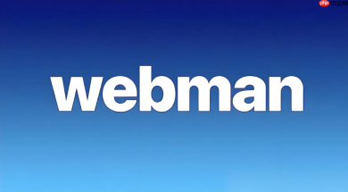 Webman中如何实现毫秒级的用户画像匹配