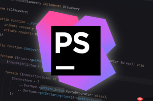 PhpStorm如何运行特定的代码分支_检出不同版本后重启执行环境【指南】