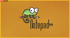 notepad++中如何使用正则将下划线命名转为驼峰