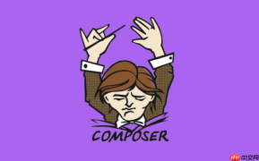Composer中文镜像加速Laravel Nova等商业包下载的实例