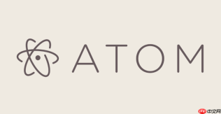 在Atom编辑器中调试Node.js程序的实用技巧