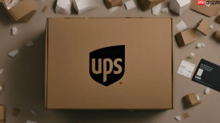 ups国际快递官网查询入口 ups国际快递官方查询通道