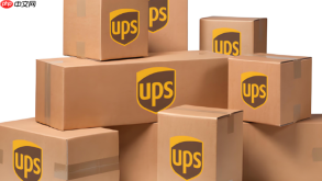 UPS国际快递查询清关要多久？海关清关进度跟进方法