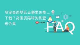 萌宠桌面壁纸去哪里免费下载?高画质猫咪狗狗壁纸合集