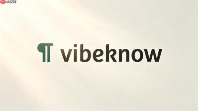 vibeknow支持哪些支付方式?微信支付宝付款指南