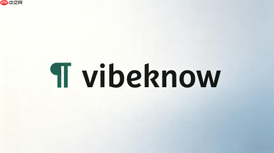 VibeKnow会员多少钱一个月？订阅价格说明