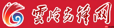 云岭先锋怎么补交党费?历史党费补缴步骤详解