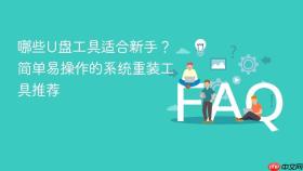 哪些u盘工具适合新手？简单易操作的系统重装工具推荐