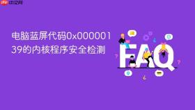 电脑蓝屏代码0x00000139的内核程序安全检测