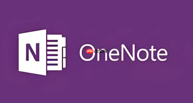 one note如何识别图片文字?ocr文字提取功能使用方法