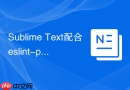sublime text配合eslint-plugin-vue校验组件