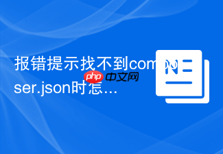 报错提示找不到composer.json时怎么运行composer install命令?