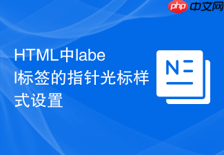 html中label标签的指针光标样式设置