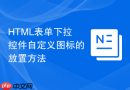 HTML表单下拉控件自定义图标的放置方法