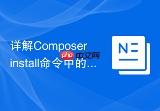 详解composer install命令中的网络协议配置