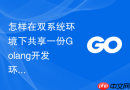 怎样在双系统环境下共享一份golang开发环境搭建配置？跨系统文件读取