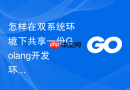 怎样在双系统环境下共享一份Golang开发环境搭建配置？跨系统文件读取