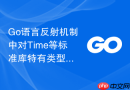 Go语言反射机制中对Time等标准库特有类型的格式化