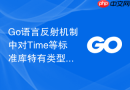 go语言反射机制中对time等标准库特有类型的格式化