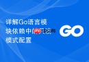 详解Go语言模块依赖中的只读模式配置