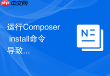 运行Composer install命令导致服务器负载过高的优化