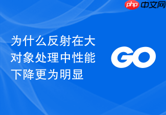 为什么反射在大对象处理中性能下降更为明显