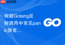 规避golang反射调用中常见panic异常的实践指南