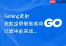 golang反射在数据脱敏敏感词过滤中的实战应用