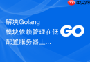 解决Golang模块依赖管理在低配置服务器上的编译瓶颈