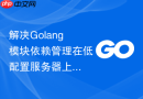 解决golang模块依赖管理在低配置服务器上的编译瓶颈